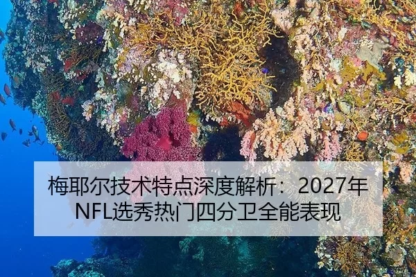 梅耶尔技术特点深度解析：2027年NFL选秀热门四分卫全能表现