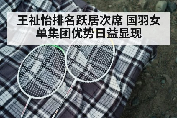badminton racket closeup