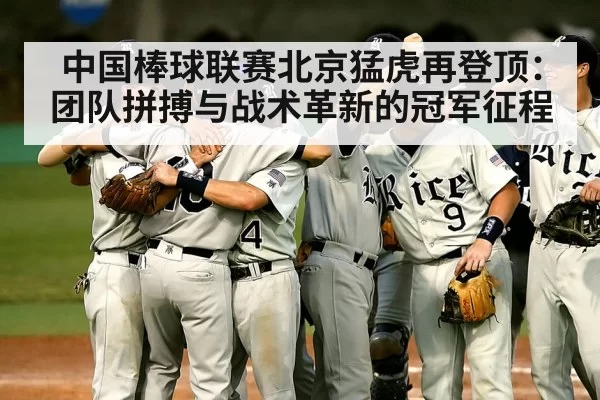中国棒球联赛北京猛虎再登顶：团队拼搏与战术革新的冠军征程