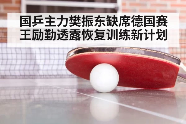 国乒主力樊振东缺席德国赛 王励勤透露恢复训练新计划