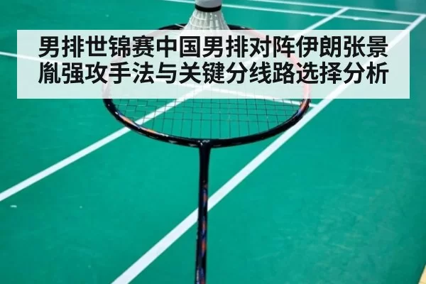 男排世锦赛中国男排对阵伊朗张景胤强攻手法与关键分线路选择分析
